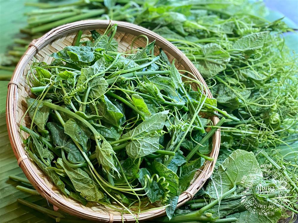 Ajuma Garden - Đọt Su Su Hữu Cơ -TCVN