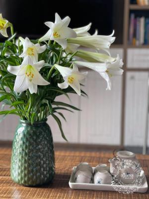 Hoa Loa Kèn là loài hoa đẹp và quen thuộc trong văn hóa Việt Nam. Qua hình ảnh này, bạn sẽ được chiêm ngưỡng vẻ đẹp đặc trưng của Hoa Loa Kèn và cảm nhận sự thanh tao trong màu sắc của nó.